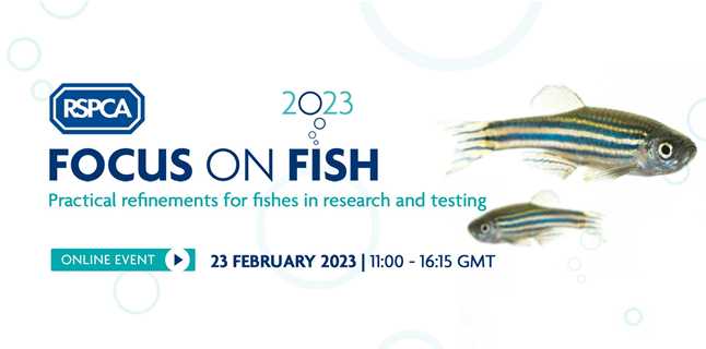 RSPCA: Focus on Fish III